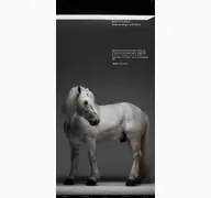 Kleine Seitenvorschau von mietstudio-s.de