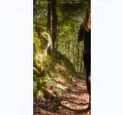 Kleine Seitenvorschau von johannesbad.de