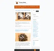 Kleine Seitenvorschau von crazyants.de