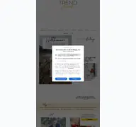 Kleine Seitenvorschau von trendshock.de