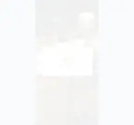 Kleine Seitenvorschau von trepanoce.de