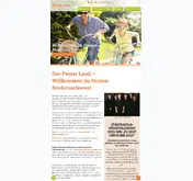 Kleine Seitenvorschau von tourismus-peine.de