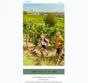 Kleine Seitenvorschau von tourismus-rhein-selz.de