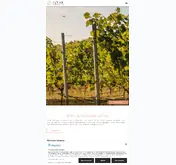 Kleine Seitenvorschau von hotel-weingut-goger.de