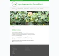 Kleine Seitenvorschau von jugendtagungsstaette-rammelsbach.de
