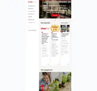 Kleine Seitenvorschau von auchan.com