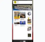 Kleine Seitenvorschau von ju-jutsu.vfl-westercelle.de