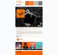 Kleine Seitenvorschau von ringlweb.de