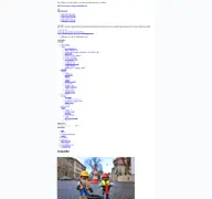 Kleine Seitenvorschau von landau.de