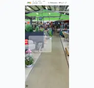 Kleine Seitenvorschau von justhomeandgarden.de