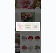 Kleine Seitenvorschau von noack-rosen.de