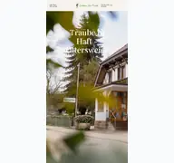 Kleine Seitenvorschau von traube-haft.de