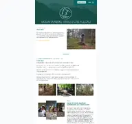Kleine Seitenvorschau von mtballgaeu.de