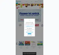 Kleine Seitenvorschau von flaywer.de