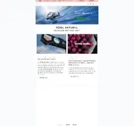 Kleine Seitenvorschau von juwelier-vogl.de
