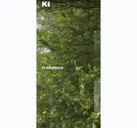 Kleine Seitenvorschau von k1baumhaus.de