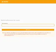 Kleine Seitenvorschau von k61199.coveto.de