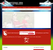 Kleine Seitenvorschau von tsv-nittenau.de