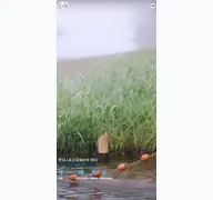 Kleine Seitenvorschau von fischjakob.de
