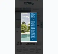 Kleine Seitenvorschau von rolladenbau-ollig.de