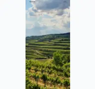 Kleine Seitenvorschau von kaiserstuhl.de