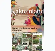 Kleine Seitenvorschau von kakteenlandsteinfeldshop.de