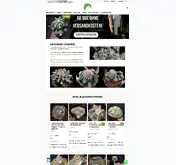 Kleine Seitenvorschau von kakteenshop-lophophora.de