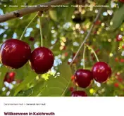 Kleine Seitenvorschau von kalchreuth.de