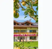 Kleine Seitenvorschau von chiemsee-ferienwohnung-hauszeit.de