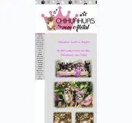 Kleine Seitenvorschau von chihuahuasvomalztal.de