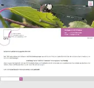 Kleine Seitenvorschau von gfnmbh.de