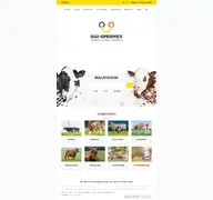 Kleine Seitenvorschau von ggi-spermex.de