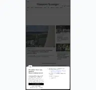 Kleine Seitenvorschau von hanauer.de