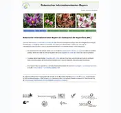 Kleine Seitenvorschau von daten.bayernflora.de