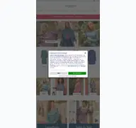 Kleine Seitenvorschau von scandic-shop.de