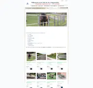 Kleine Seitenvorschau von profi-weidezaun.de