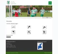 Kleine Seitenvorschau von tsv-altenstadt.de