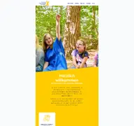 Kleine Seitenvorschau von ds-infocenter.de