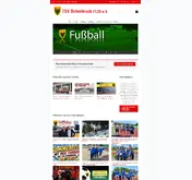 Seitenvorschau von tsv-ochenbruck.de