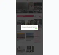 Kleine Seitenvorschau von nunu.at