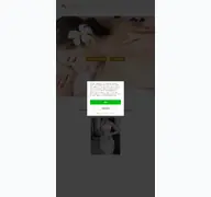 Kleine Seitenvorschau von xingchen-massage.de