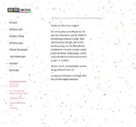 Kleine Seitenvorschau von beiermedia.de