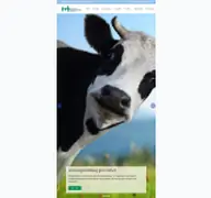 Kleine Seitenvorschau von tvheide.de