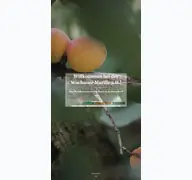 Kleine Seitenvorschau von wachauermarille.at