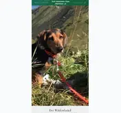 Kleine Seitenvorschau von waelderdackel.de