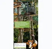 Kleine Seitenvorschau von walderlebniswelt.at