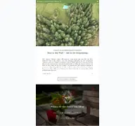 Kleine Seitenvorschau von waldferiendorf-duerrwies.de