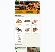 Kleine Seitenvorschau von waldprofi.de
