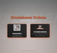 Kleine Seitenvorschau von dinslakener-kobras.de