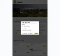 Kleine Seitenvorschau von insheim.de